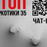 В Вологодской области стартует ежегодная Общероссийская акция «Сообщи, где торгуют смертью». - Кичменгско-Городецкий муниципальный округ
